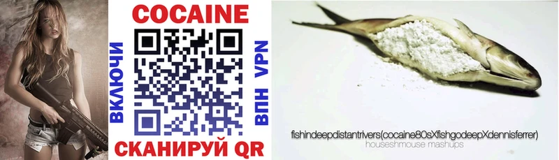 Купить закладки  Заозёрск  COCAIN VHQ 