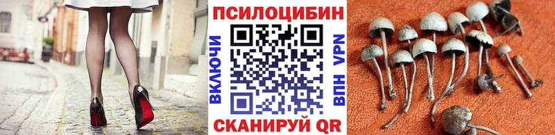 Псилоцибиновые грибы Magic Shrooms  Купить закладки  Заозёрск 